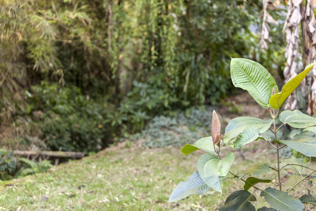 Pousada Quatro Estacoes Trindade  Eksteriør bilde